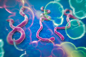 Enfermedad del virus Ébola